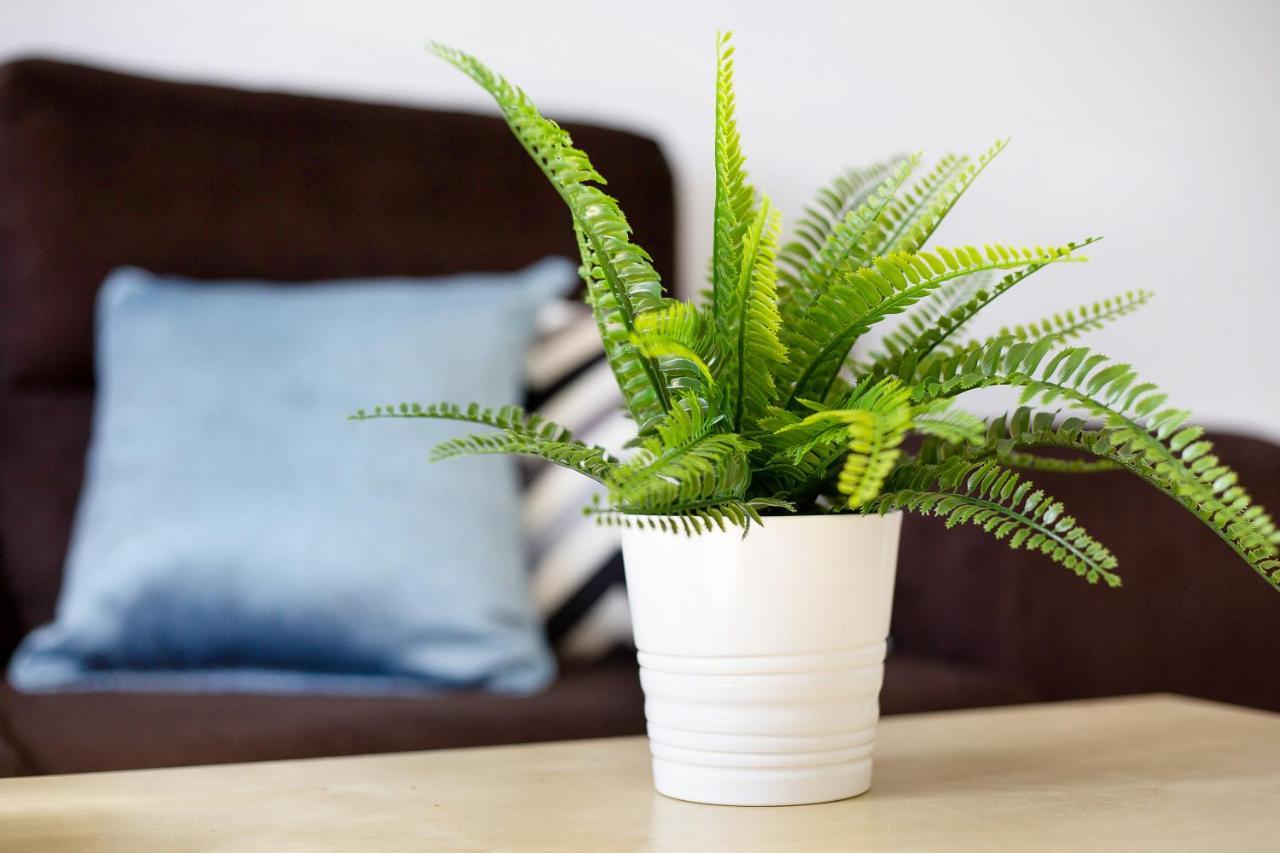 Apartamento Tanzanita 코스타카르마 외부 사진